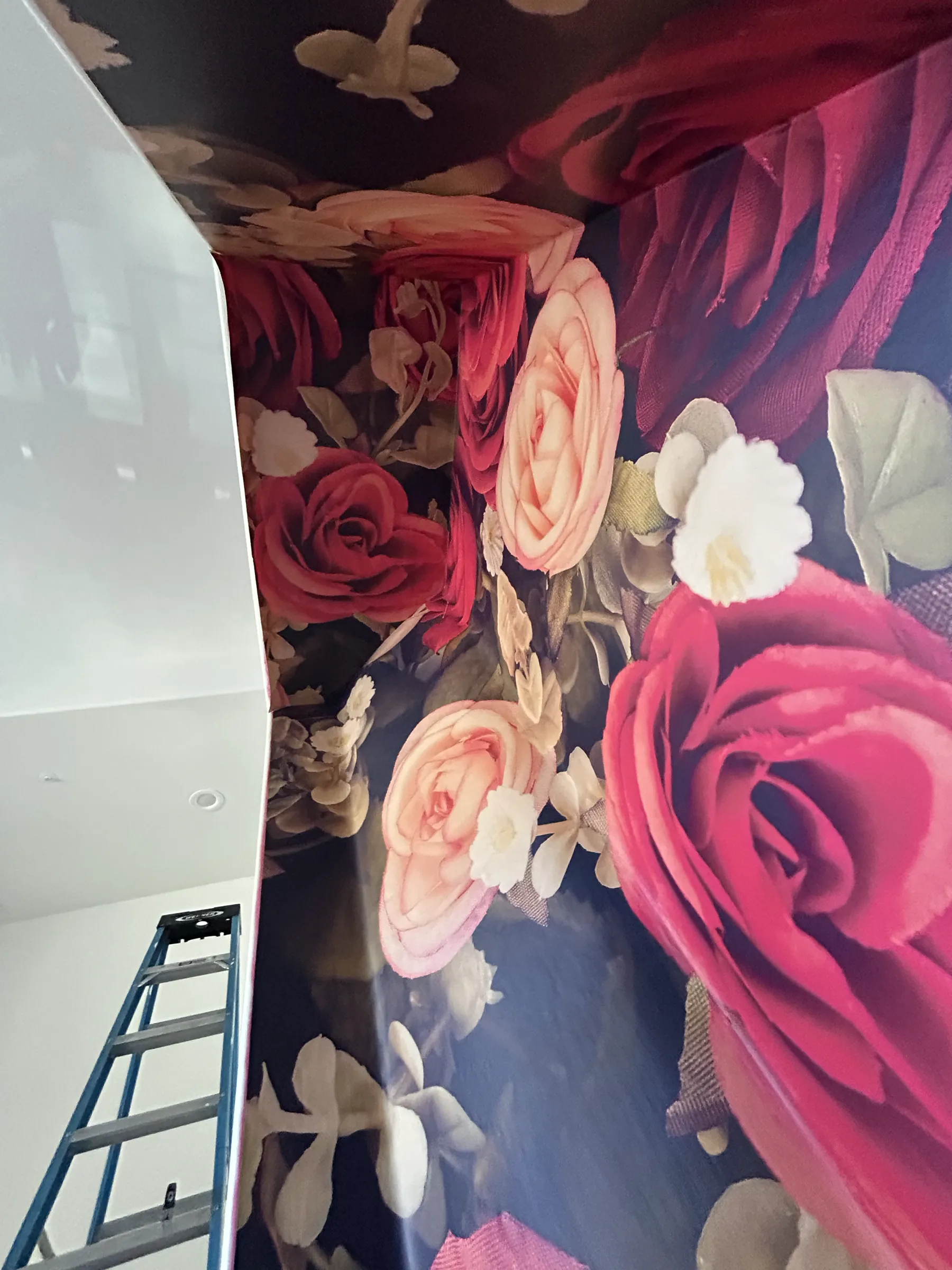 Looking up into the rose-lined alcove, a ladder still in place